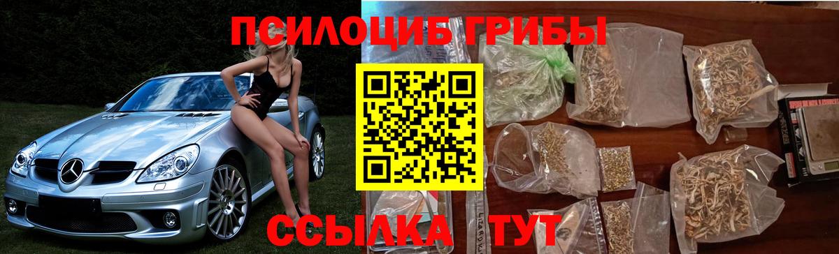 Псилоцибиновые грибы GOLDEN TEACHER Тавда