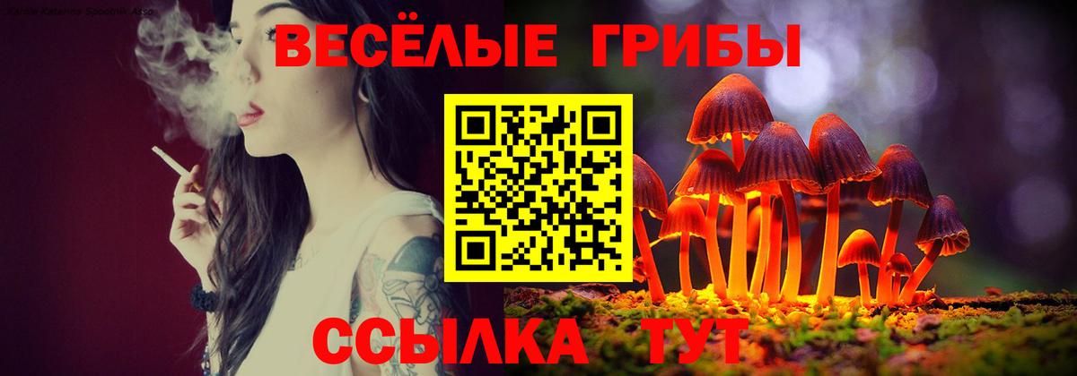 Псилоцибиновые грибы MAGIC MUSHROOMS  Галлюциногенные грибы мухоморы  Тавда  Вход с VPN 